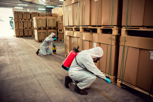 Best Best Pest Control Companies  in Brookville, IN