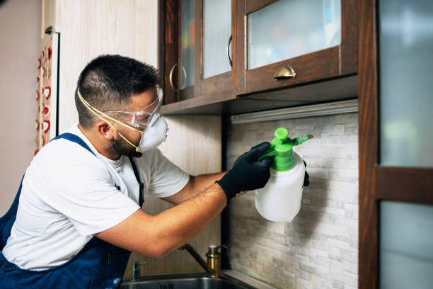 Best Insect Control  in Brookville, IN