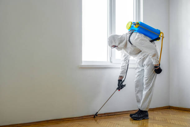 Best Wasp Removal Services  in Brookville, IN