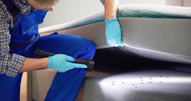 Best Local Pest Control Services  in Brookville, IN