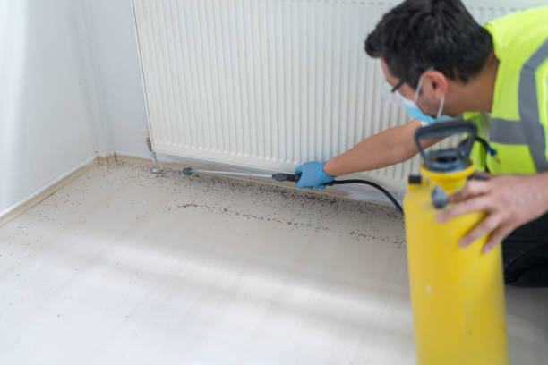 Best Affordable Pest Control Services  in Brookville, IN