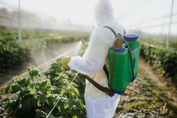 Best Wildlife Control Services  in Brookville, IN
